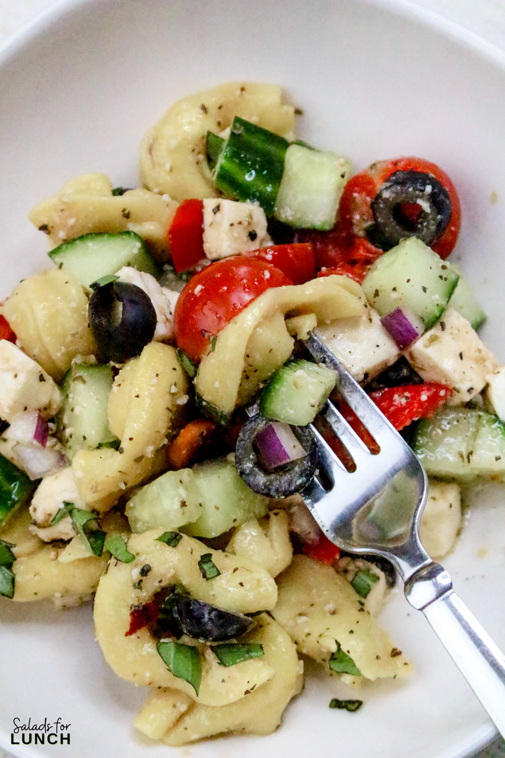 Greek Tortellini Pasta Salad Recipe 34 - This Tortellini Pasta Salad with Italian Salad Dressing is a fantastic mix of tender cheese tortellini, crisp vegetables, and a zesty dressing that makes every bite a treat. Perfect for potlucks or a quick meal, this salad brings a cheerful vibe to any gathering without taking hours to prepare.