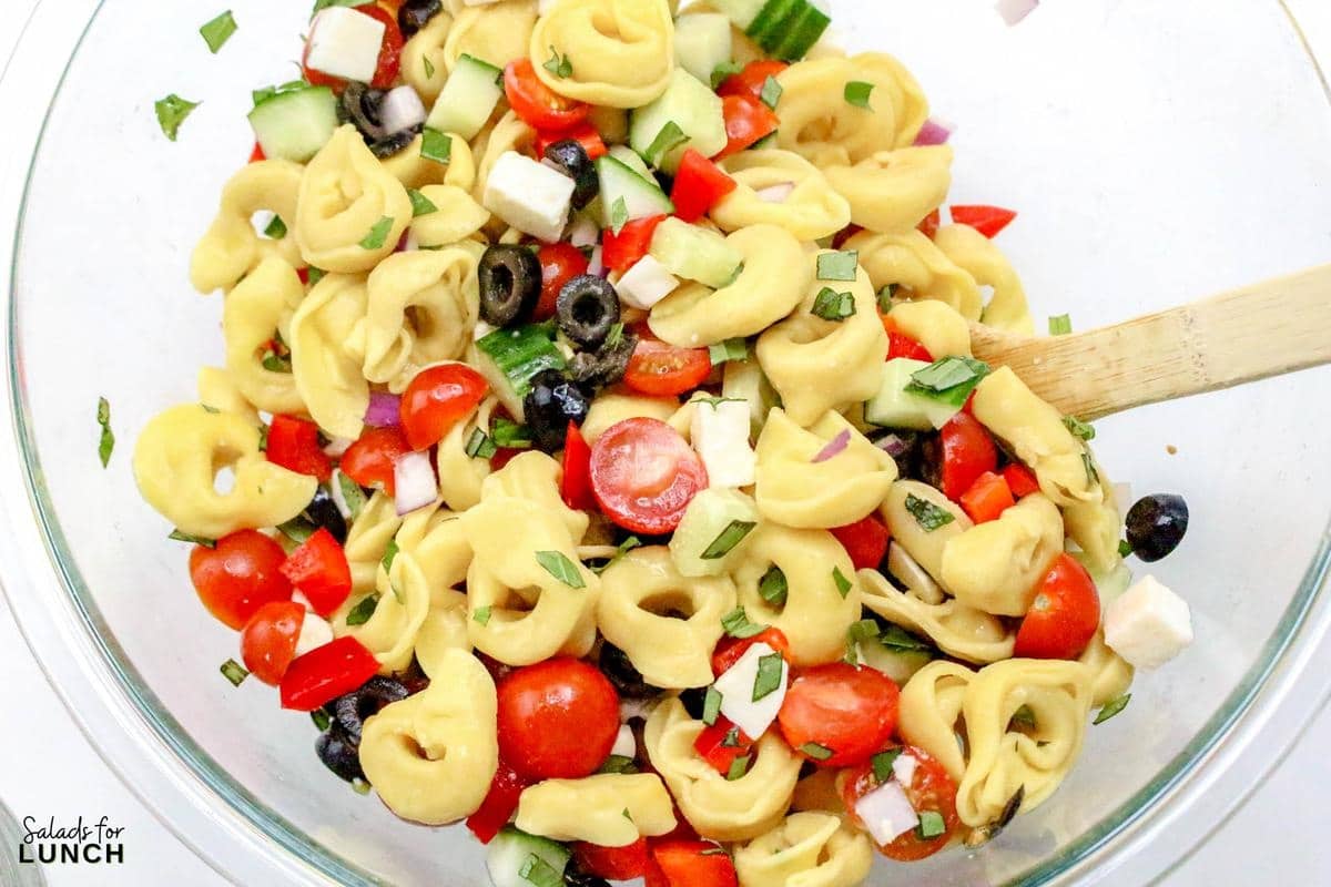 Greek Tortellini Pasta Salad Recipe 8 - This Tortellini Pasta Salad with Italian Salad Dressing is a fantastic mix of tender cheese tortellini, crisp vegetables, and a zesty dressing that makes every bite a treat. Perfect for potlucks or a quick meal, this salad brings a cheerful vibe to any gathering without taking hours to prepare.