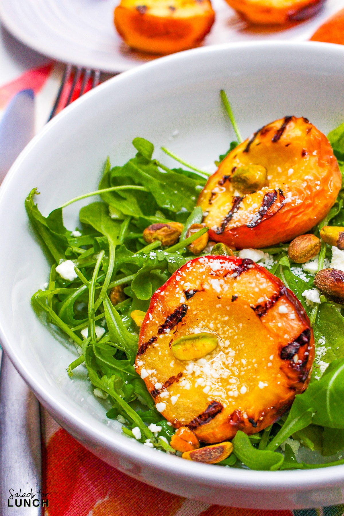 Grilled Peach Summer Salad 16 - Indulge in the flavors of the season with our Grilled Peach Summer Salad! Arugula and pistachios complement the juicy peaches, creating a refreshing and elegant dish perfect for your late summer BBQs. Get ready to savor the taste of sunshine!