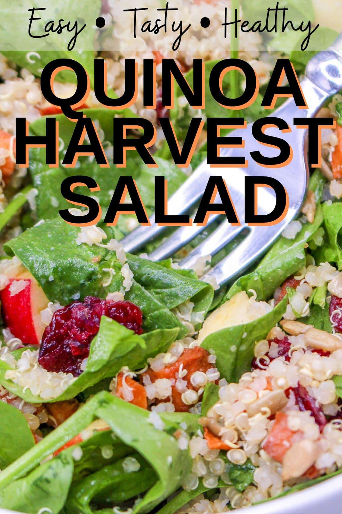 Harvest Quinoa Salad 1 1 - This Harvest Quinoa Salad is a delightful mix of texture and flavors of autumn and fall. Made with roasted roasted sweet potatoes, dried cranberries, red apple, spinach, sunflower seeds, protein-rich quinoa, and an apple cider vinaigrette, this gluten-free, plant-based recipe is a show-stopper!