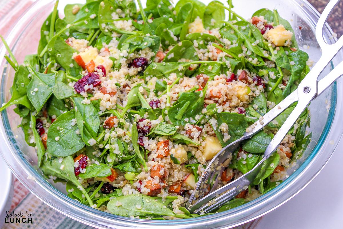 Harvest Quinoa Salad 11 - This Harvest Quinoa Salad is a delightful mix of texture and flavors of autumn and fall. Made with roasted roasted sweet potatoes, dried cranberries, red apple, spinach, sunflower seeds, protein-rich quinoa, and an apple cider vinaigrette, this gluten-free, plant-based recipe is a show-stopper!