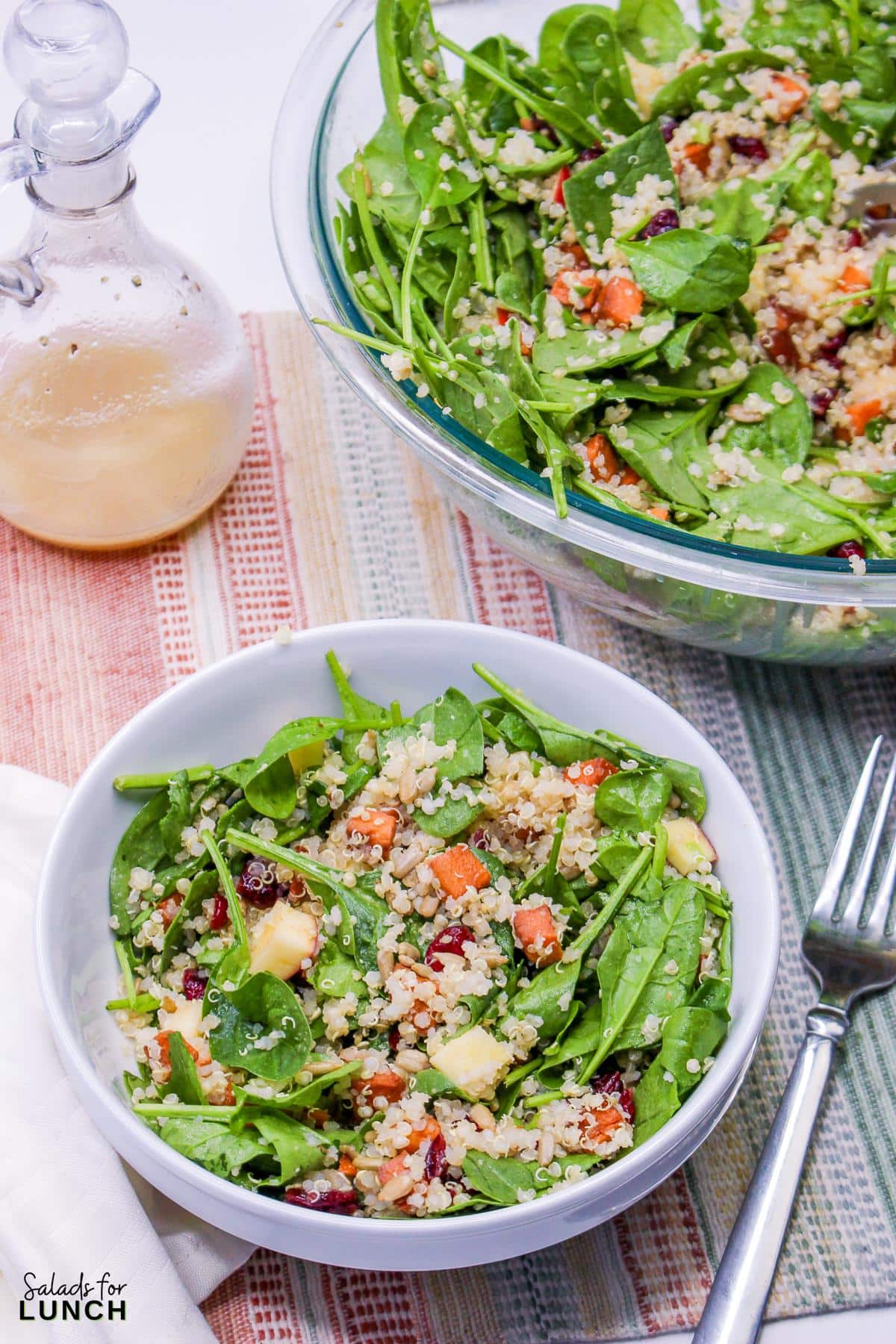 Fall Harvest Quinoa Salad - Harvest Quinoa Salad 15 Harvest Quinoa Salad 15 - This Harvest Quinoa Salad is a delightful mix of texture and flavors of autumn and fall. Made with roasted roasted sweet potatoes, dried cranberries, red apple, spinach, sunflower seeds, protein-rich quinoa, and an apple cider vinaigrette, this gluten-free, plant-based recipe is a show-stopper!