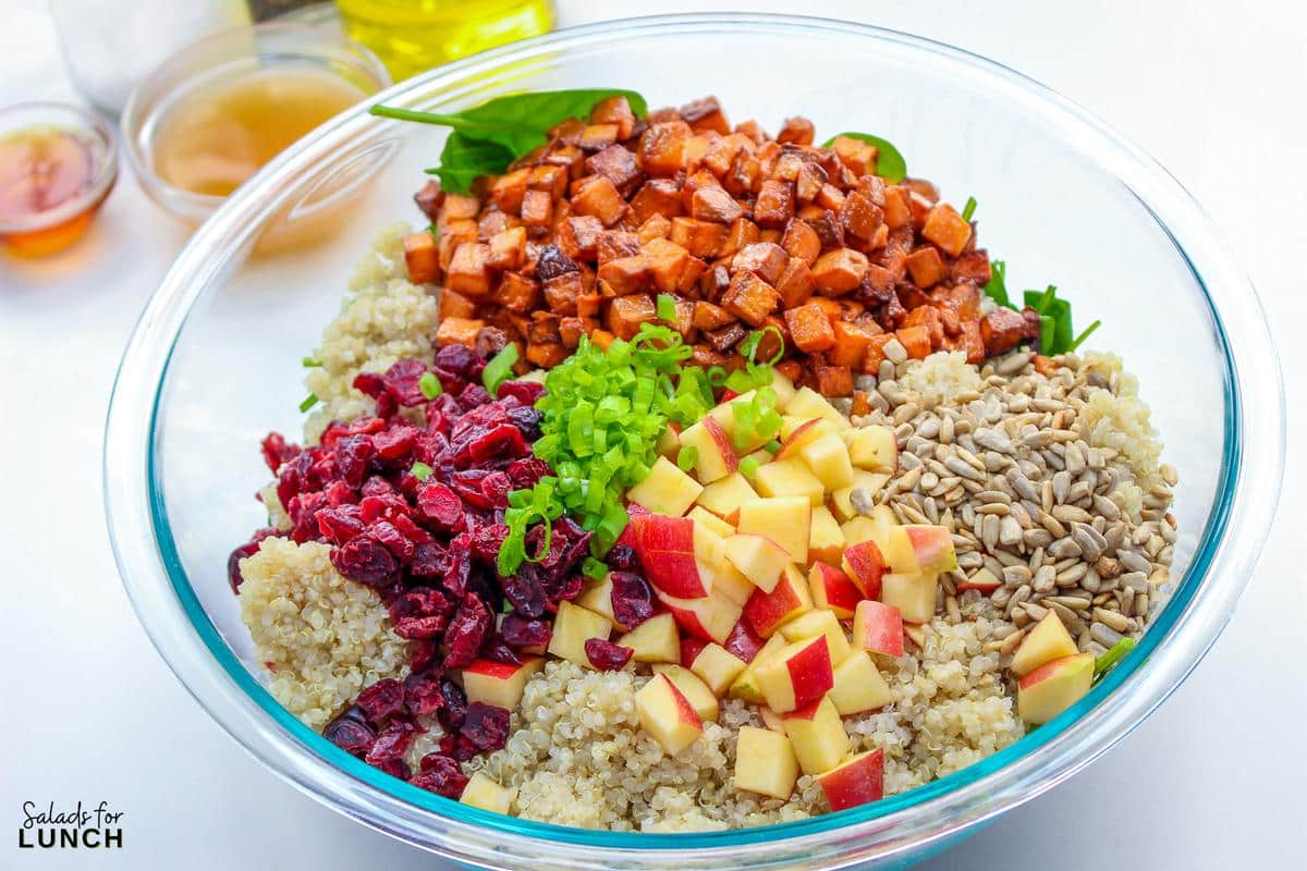 Harvest Quinoa Salad 3 - This Harvest Quinoa Salad is a delightful mix of texture and flavors of autumn and fall. Made with roasted roasted sweet potatoes, dried cranberries, red apple, spinach, sunflower seeds, protein-rich quinoa, and an apple cider vinaigrette, this gluten-free, plant-based recipe is a show-stopper!