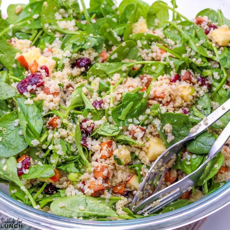 Harvest Quinoa Salad Square Featured Photo 1 - Shake up your weekday lunch with these tasty, healthy salads for lunch recipes that are great on the go. Make a filling and healthy salad that will power you through any work day. Full of protein and fiber these quick salads are an easy way to spruce up your lunch.