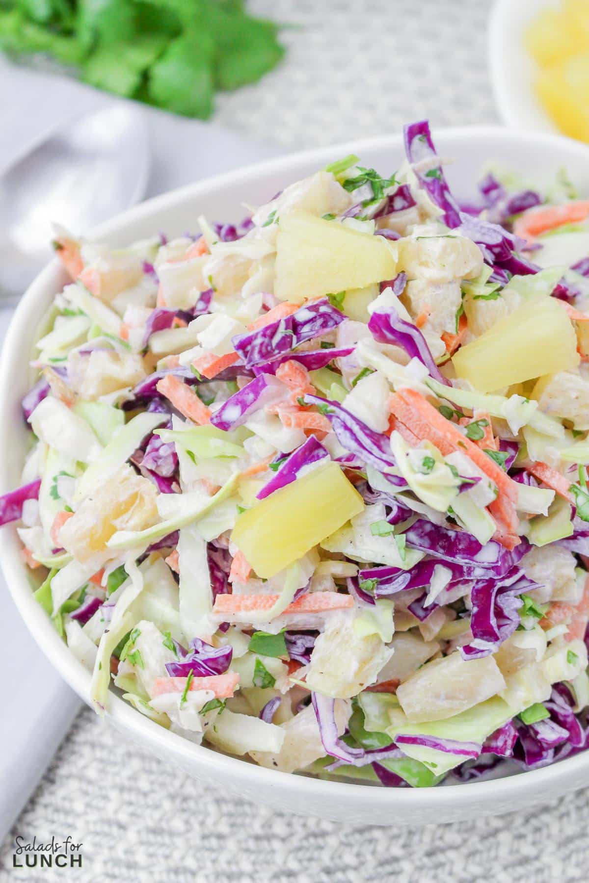 Close uup of colourful Hawaiian inspired coleslaw with pineapple in a white bowl.