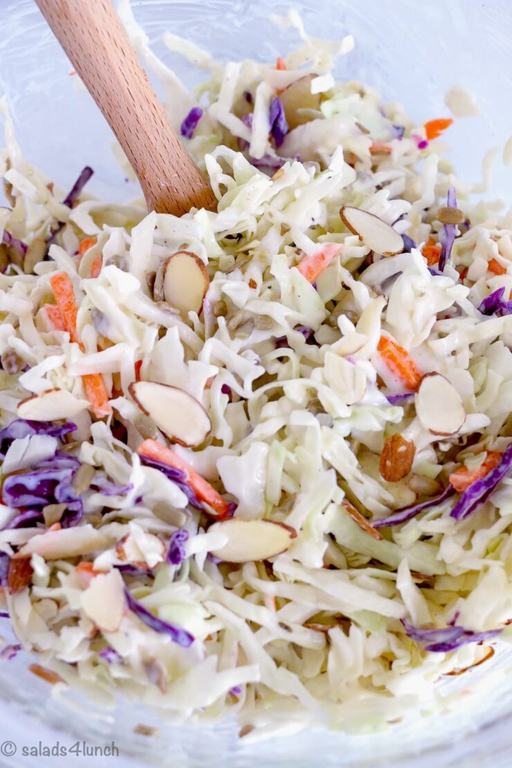 Healthy Creamy Coleslaw Dressing Recipe 1 - This is simply the Best Ever Creamy Coleslaw with Grapes recipe! This easy homemade creamy coleslaw recipe is much lighter on the dressing and is significantly tastier than store-bought because of the grapes and sunflower seeds and almonds. This unique coleslaw is a great summer BBQ side dish for your summer potluck!! Everyone will enjoy this healthy coleslaw recipe!