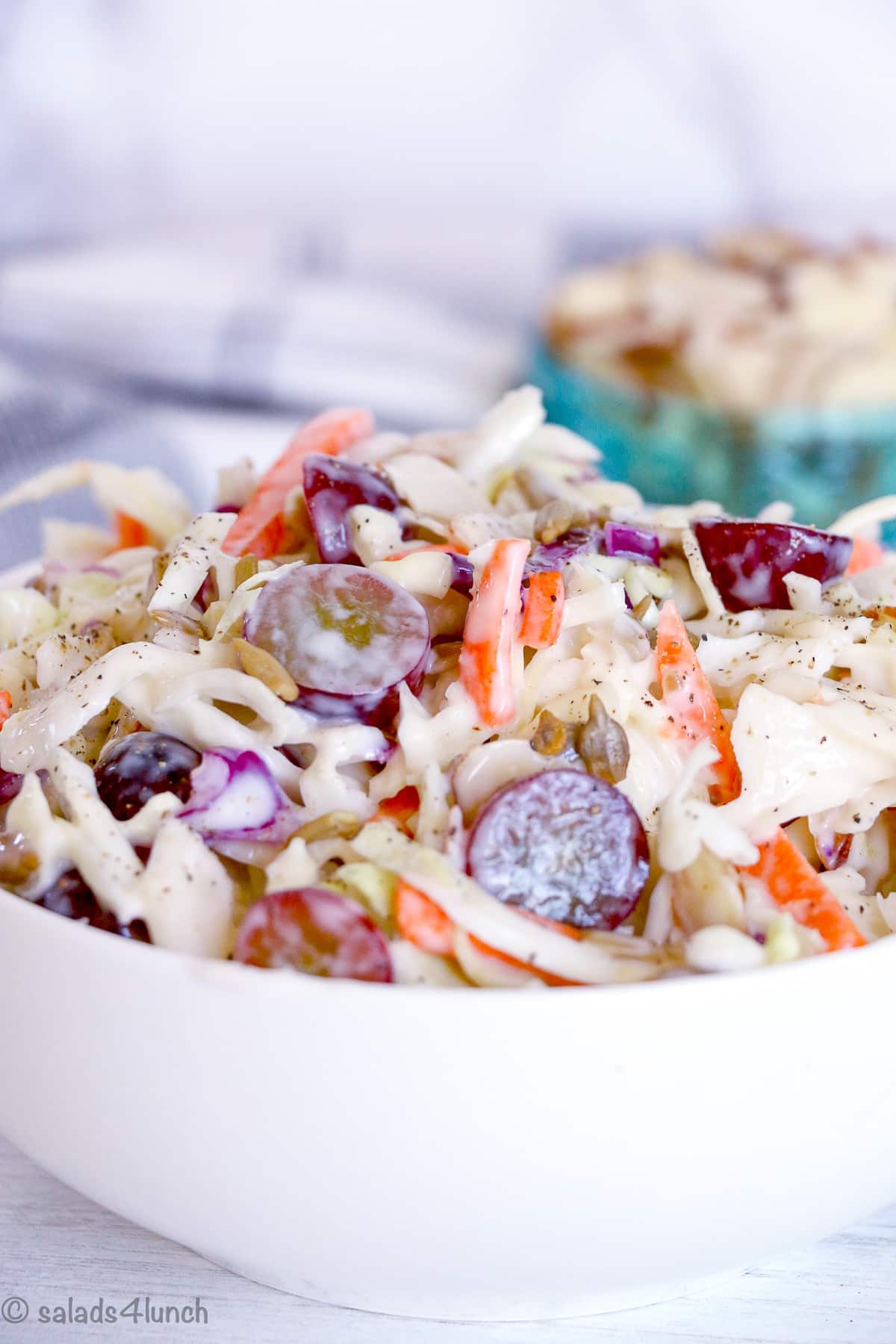 Easy Creamy Coleslaw with Grapes - Healthy Creamy Coleslaw Recipe 9 Healthy Creamy Coleslaw Recipe 9 - This is simply the Best Ever Creamy Coleslaw with Grapes recipe! This easy homemade creamy coleslaw recipe is much lighter on the dressing and is significantly tastier than store-bought because of the grapes and sunflower seeds and almonds. This unique coleslaw is a great summer BBQ side dish for your summer potluck!! Everyone will enjoy this healthy coleslaw recipe!