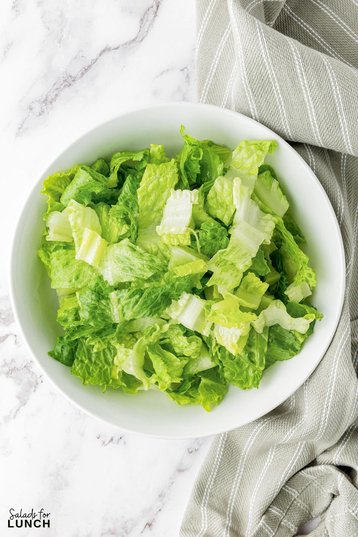 Italian Chopped Salad Recipe 13 - This hearty Italian Chopped Salad with Zesty Dressing that is the perfect mix of healthy and satisfying. Whether you’re craving a healthy dinner option or a dish that’s quick to prepare, this salad has you covered. Get ready to enjoy a meal that’s as nutritious as it is delicious!