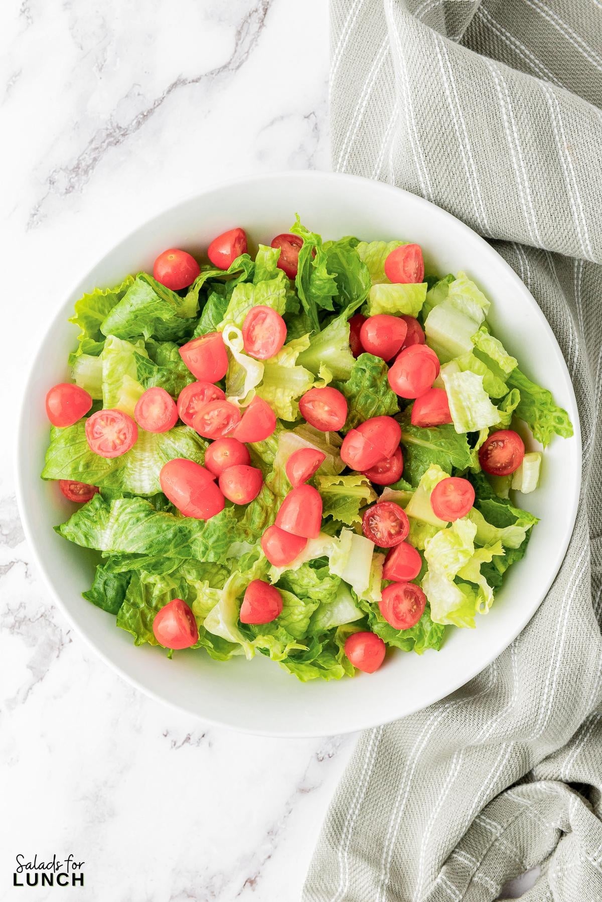 Italian Chopped Salad Recipe 14 - This hearty Italian Chopped Salad with Zesty Dressing that is the perfect mix of healthy and satisfying. Whether you’re craving a healthy dinner option or a dish that’s quick to prepare, this salad has you covered. Get ready to enjoy a meal that’s as nutritious as it is delicious!