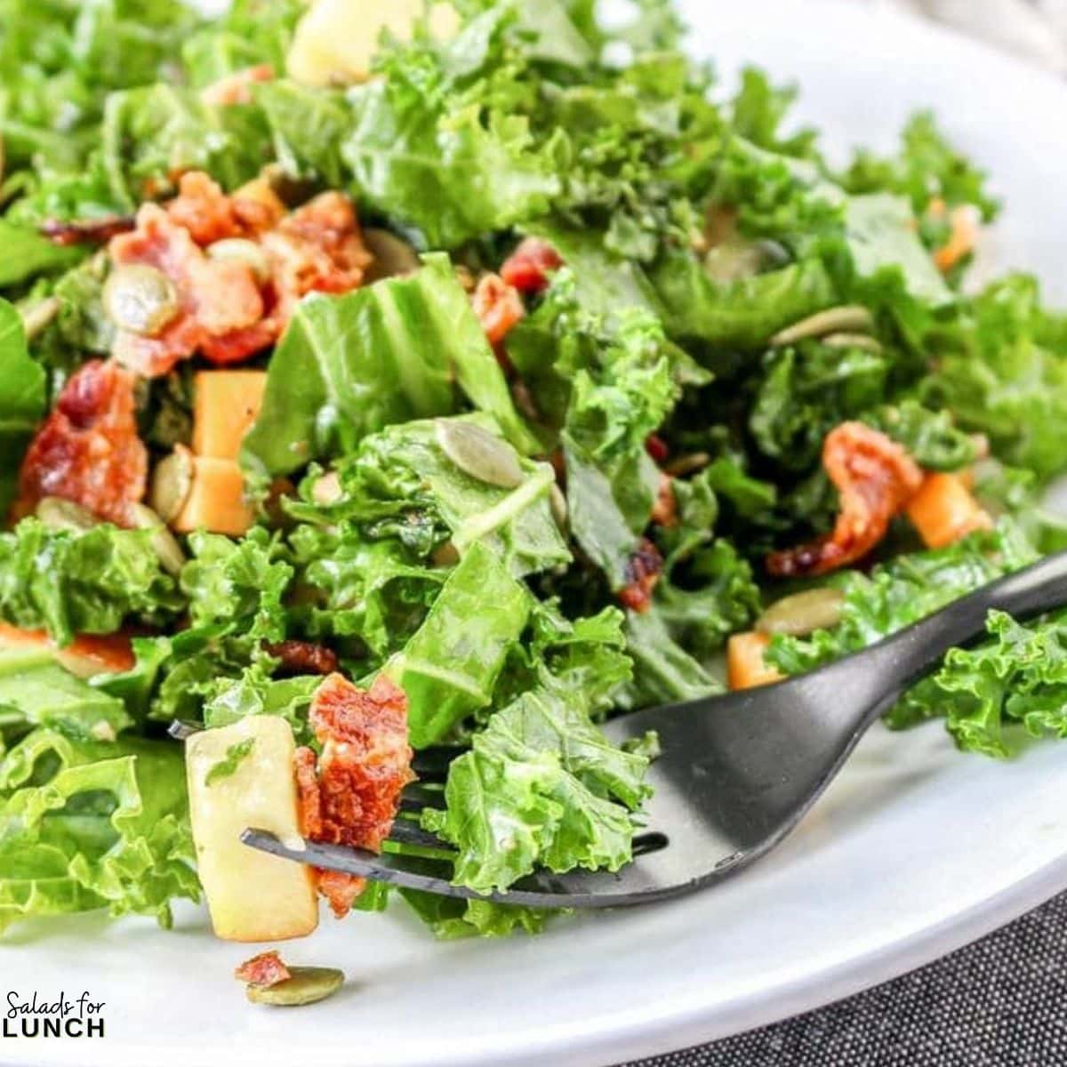 Kale and Apple Salad Recipe - This quick and easy Kale and Apple Salad with Apple Cider Vinaigrette is not just a feast for the taste buds but also a celebration of wholesome goodness. Perfect for those busy days when you crave a healthy and satisfying meal without sacrificing on flavor.