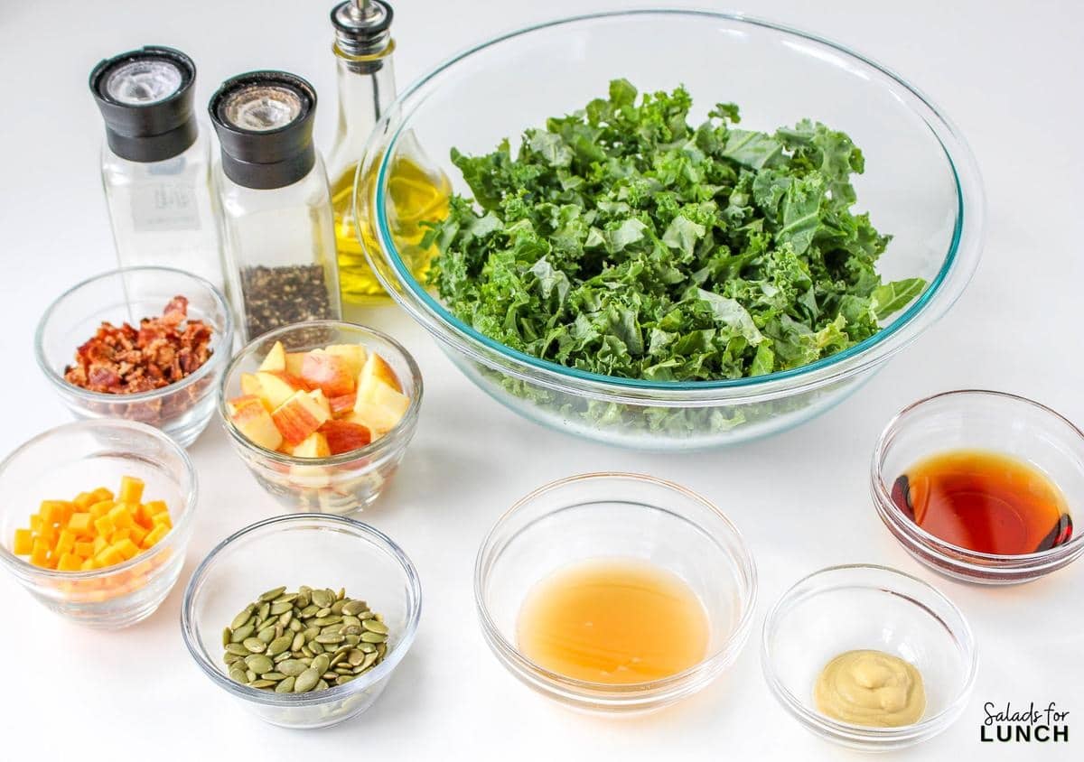 Kale and Apple Salad with Apple Cider Vinaigrette 2 - This quick and easy Kale and Apple Salad with Apple Cider Vinaigrette is not just a feast for the taste buds but also a celebration of wholesome goodness. Perfect for those busy days when you crave a healthy and satisfying meal without sacrificing on flavor.
