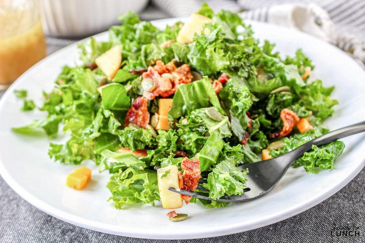 Kale and Apple Salad with Apple Cider Vinaigrette 23 - This quick and easy Kale and Apple Salad with Apple Cider Vinaigrette is not just a feast for the taste buds but also a celebration of wholesome goodness. Perfect for those busy days when you crave a healthy and satisfying meal without sacrificing on flavor.