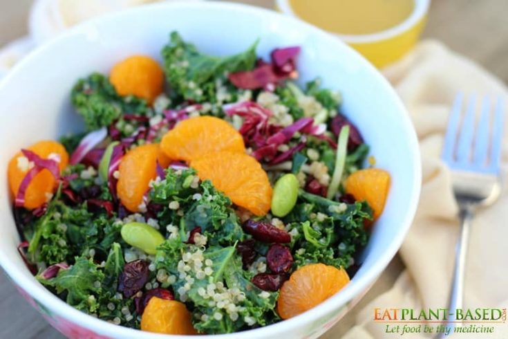 Kale Quinoa Salad 2 2765 - Let’s go keen-wah crazy with this tasty round-up of easy quinoa salad recipes to take to your next potluck! These delicious quinoa salad recipes are gloriously gluten-free with lots of vegetarian options too.