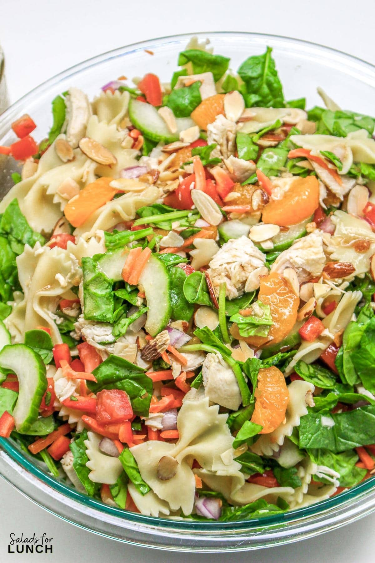 Mandarin Chicken Pasta Salad 11 - Need an easy-to-make nutritious meal? This Mandarin Chicken Pasta Salad is perfect – filled with asian flavors and protein-packed chicken to keep you full.