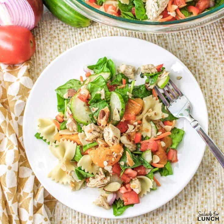 Mandarin Chicken Pasta Salad Square Featured Photo - March brings a lively mix of fresh fruits and vegetables that light up your plate with bold flavors and crisp textures. Celebrate March with these 17 early spring salads that prove healthy eating can be fun, flavorful, and budget-friendly.