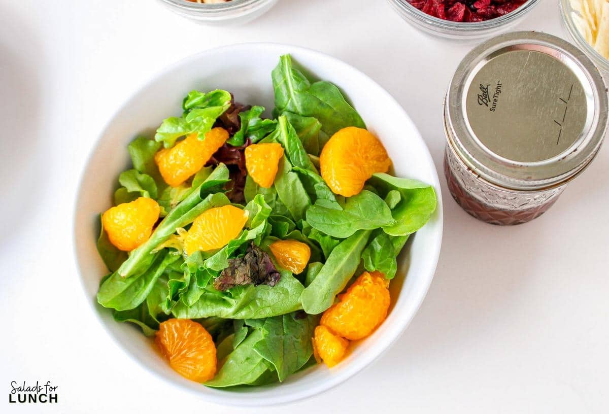 Mandarin Orange and Cranberry Salad Recipe 11 - This Cranberry Mandarin Orange Salad is a nutritious delight featuring mixed greens, tangy mandarin oranges, cranberries, and crunchy almonds. Drizzle it with my refreshing Orange Poppy Seed Dressing for a perfect balance of sweet and tangy. Easy to make, impossible not to love!