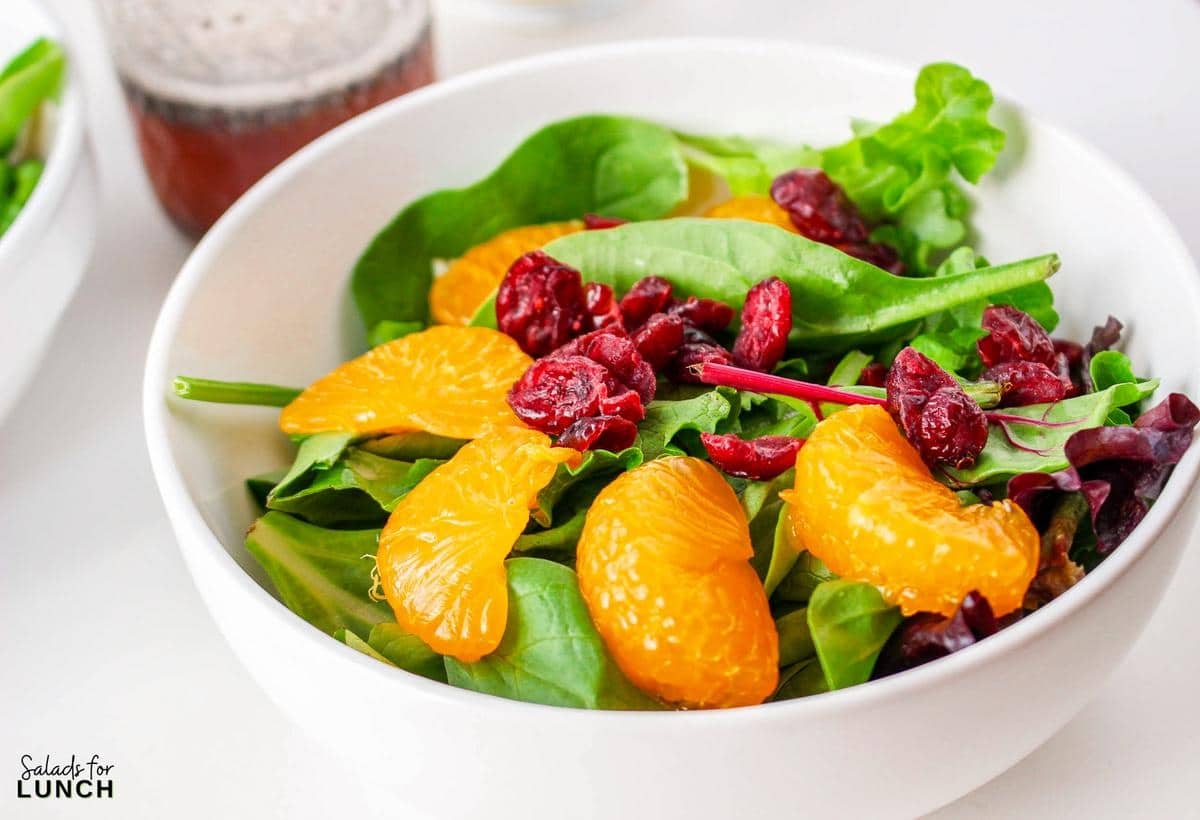 Mandarin Orange and Cranberry Salad Recipe 15 - This Cranberry Mandarin Orange Salad is a nutritious delight featuring mixed greens, tangy mandarin oranges, cranberries, and crunchy almonds. Drizzle it with my refreshing Orange Poppy Seed Dressing for a perfect balance of sweet and tangy. Easy to make, impossible not to love!