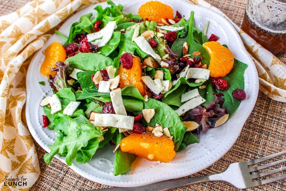 Mandarin Orange and Cranberry Salad Recipe 17 - This Cranberry Mandarin Orange Salad is a nutritious delight featuring mixed greens, tangy mandarin oranges, cranberries, and crunchy almonds. Drizzle it with my refreshing Orange Poppy Seed Dressing for a perfect balance of sweet and tangy. Easy to make, impossible not to love!