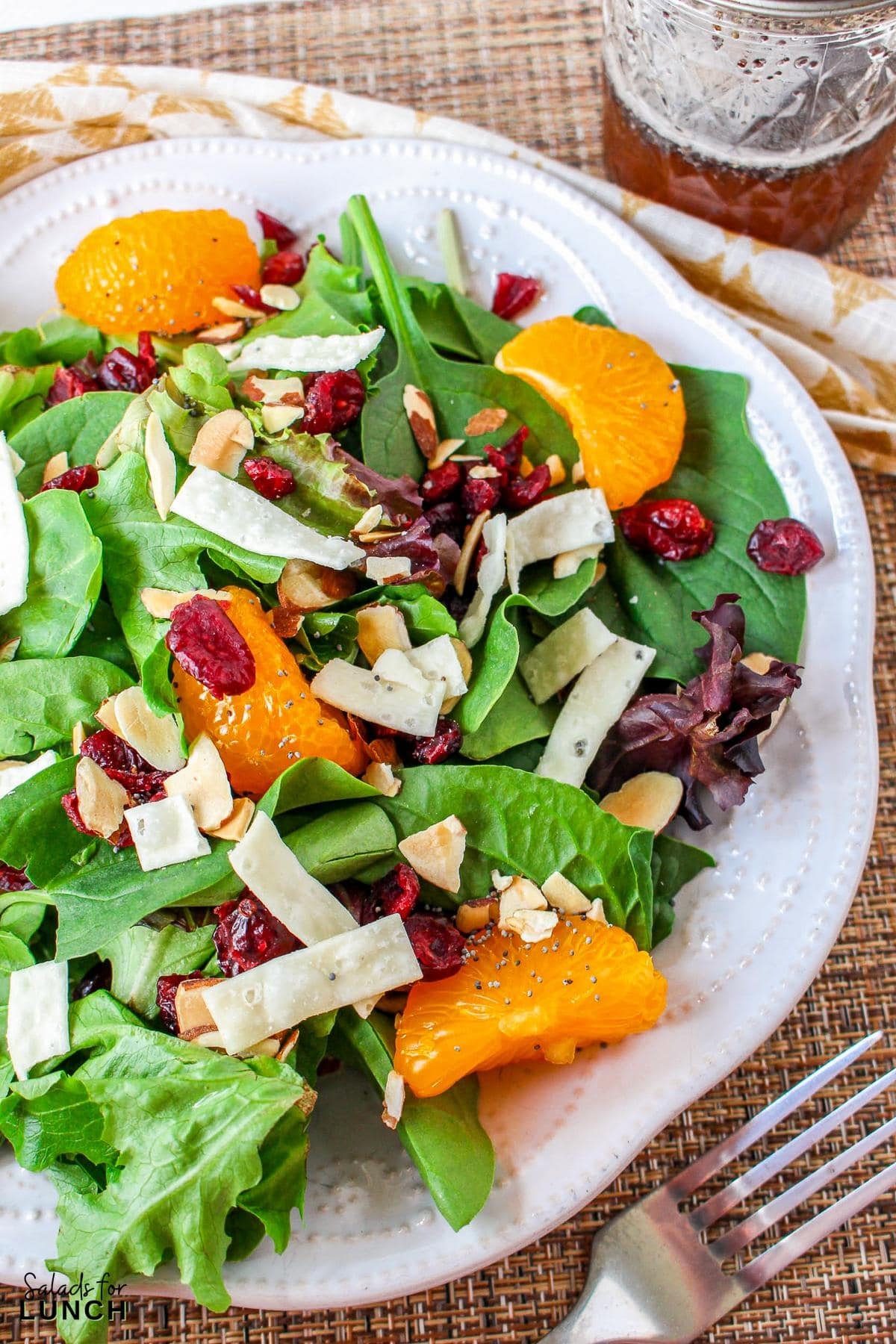 Mandarin Orange and Cranberry Salad Recipe 18 - This Cranberry Mandarin Orange Salad is a nutritious delight featuring mixed greens, tangy mandarin oranges, cranberries, and crunchy almonds. Drizzle it with my refreshing Orange Poppy Seed Dressing for a perfect balance of sweet and tangy. Easy to make, impossible not to love!