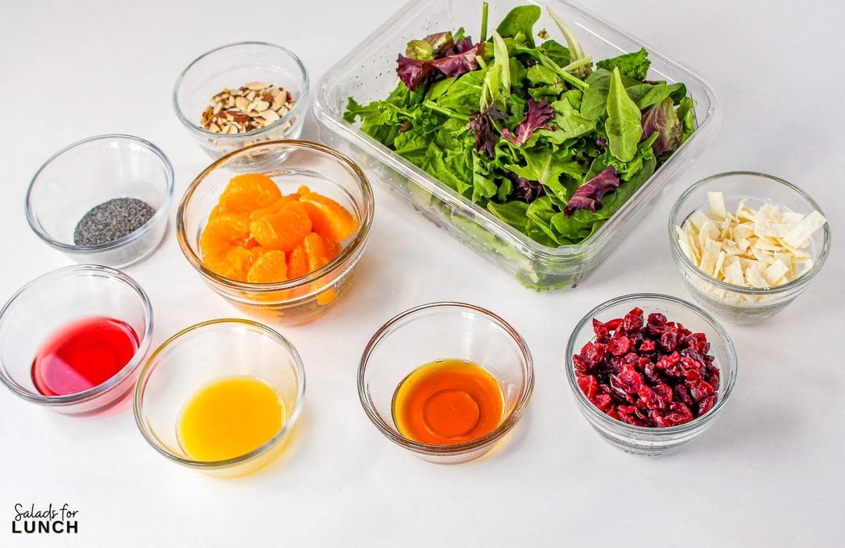 Mandarin Orange and Cranberry Salad Recipe 2 - This Cranberry Mandarin Orange Salad is a nutritious delight featuring mixed greens, tangy mandarin oranges, cranberries, and crunchy almonds. Drizzle it with my refreshing Orange Poppy Seed Dressing for a perfect balance of sweet and tangy. Easy to make, impossible not to love!