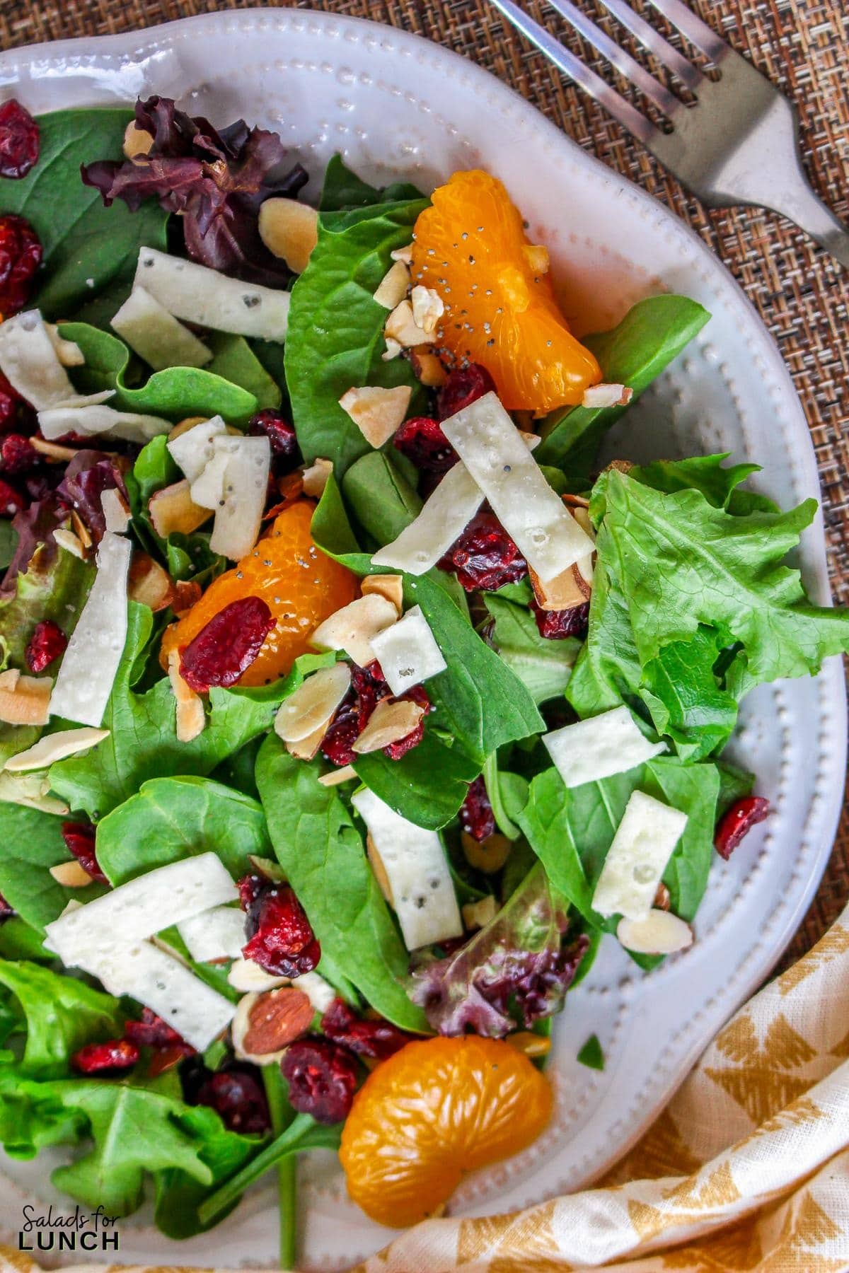 Mandarin Orange and Cranberry Salad Recipe 24 - This Cranberry Mandarin Orange Salad is a nutritious delight featuring mixed greens, tangy mandarin oranges, cranberries, and crunchy almonds. Drizzle it with my refreshing Orange Poppy Seed Dressing for a perfect balance of sweet and tangy. Easy to make, impossible not to love!