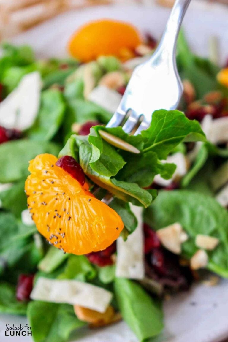 Cranberry Mandarin Orange Salad with Poppy Seed Dressing