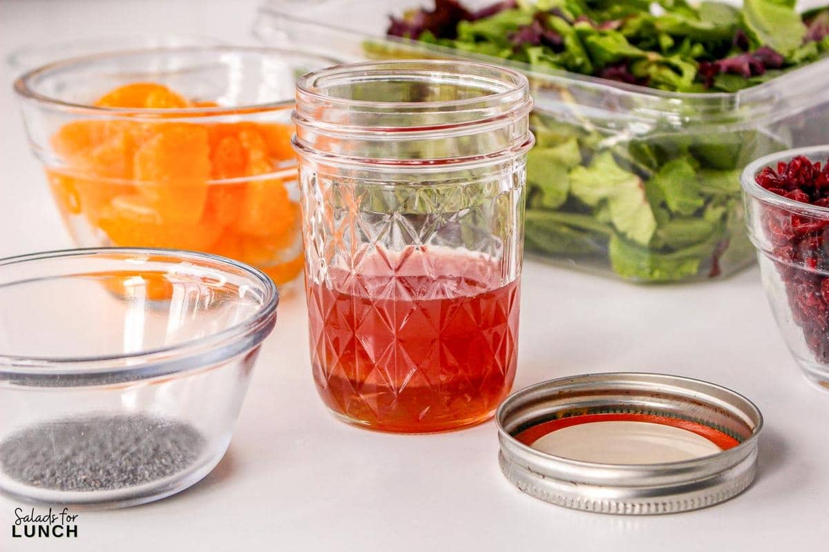 Mandarin Orange and Cranberry Salad Recipe 3 - This Cranberry Mandarin Orange Salad is a nutritious delight featuring mixed greens, tangy mandarin oranges, cranberries, and crunchy almonds. Drizzle it with my refreshing Orange Poppy Seed Dressing for a perfect balance of sweet and tangy. Easy to make, impossible not to love!