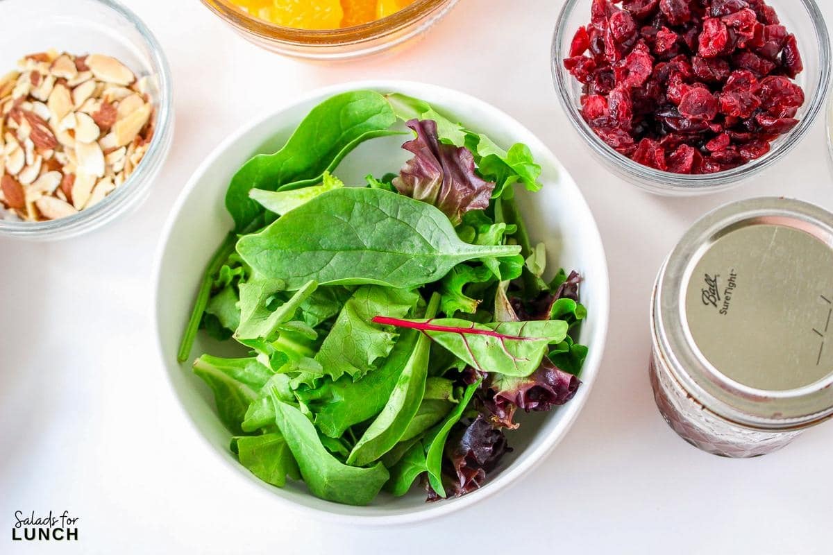 Mandarin Orange and Cranberry Salad Recipe 5 - This Cranberry Mandarin Orange Salad is a nutritious delight featuring mixed greens, tangy mandarin oranges, cranberries, and crunchy almonds. Drizzle it with my refreshing Orange Poppy Seed Dressing for a perfect balance of sweet and tangy. Easy to make, impossible not to love!