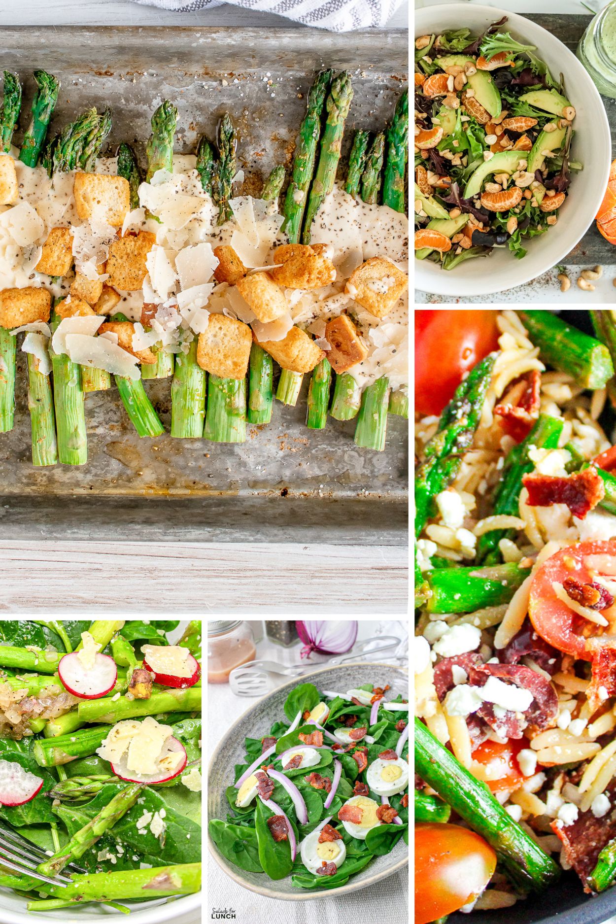 17 March Salads to Make - March Salads to Make March Salads to Make - March brings a lively mix of fresh fruits and vegetables that light up your plate with bold flavors and crisp textures. Celebrate March with these 17 early spring salads that prove healthy eating can be fun, flavorful, and budget-friendly.