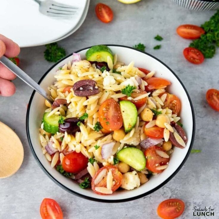 Mediterranean Orzo Pasta Salad Recipe 1 - Shake up your weekday lunch with these tasty, healthy salads for lunch recipes that are great on the go. Make a filling and healthy salad that will power you through any work day. Full of protein and fiber these quick salads are an easy way to spruce up your lunch.