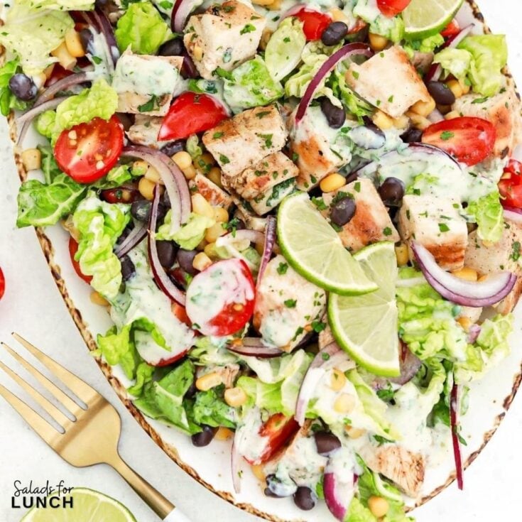 Mexican Inspired Grilled Chicken Salad Square Featured Photo 1 - Shake up your weekday lunch with these tasty, healthy salads for lunch recipes that are great on the go. Make a filling and healthy salad that will power you through any work day. Full of protein and fiber these quick salads are an easy way to spruce up your lunch.