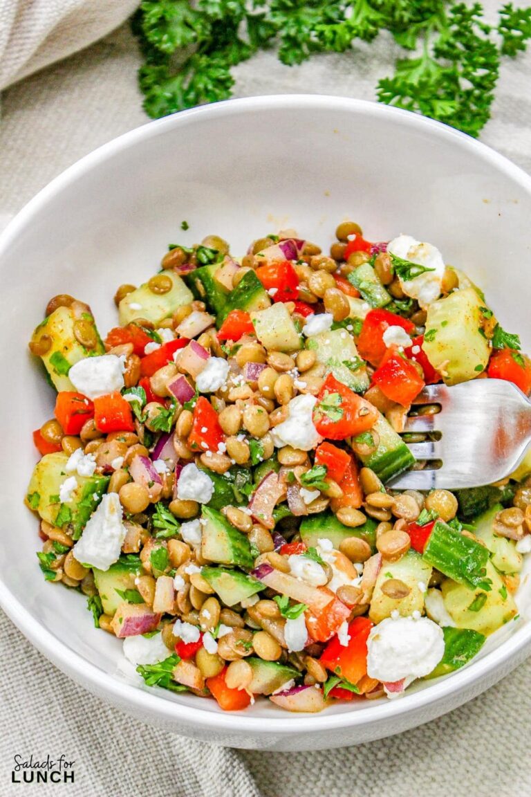 Vegetarian Moroccan Lentil Salad