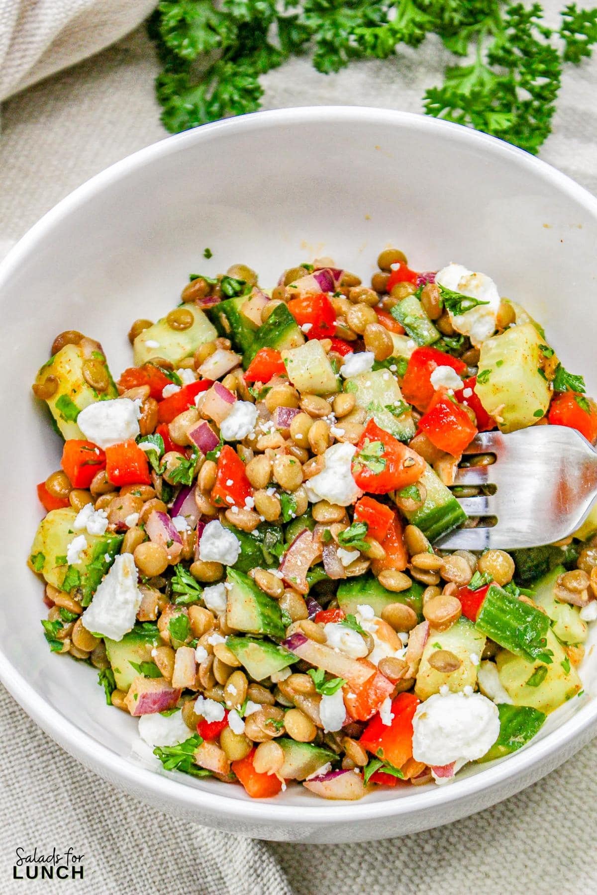 Vegetarian Moroccan Lentil Salad