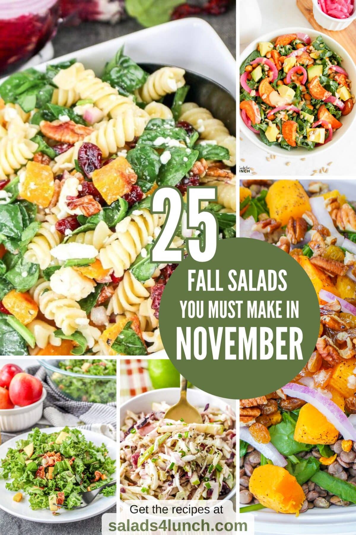 NOVEMBER SALAD RECIPES - Here are 25 wonderful November salad recipe options to enjoy this month. Whether you’re looking for a nutritious side dish or a light meal, these fall salad recipes feature fresh flavors and textures that will keep you coming back for more.