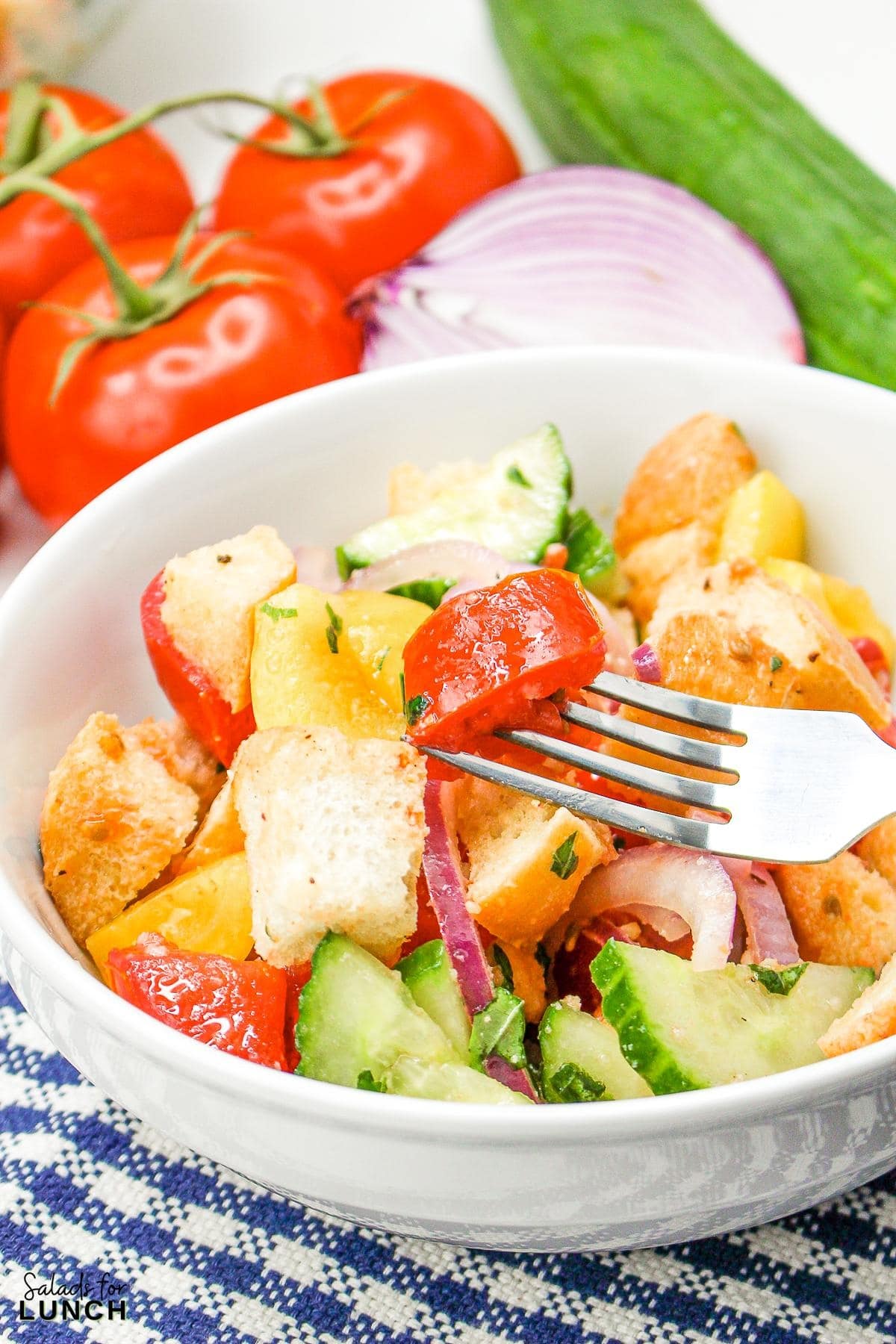 Panzanella Salad 31 - This Classic Italian Panzanella Salad (aka Tuscan Bread Salad) is a refreshing summer salad made with juicy tomatoes, crusty bread, and a simple vinaigrette. This is a great salad to bring to a summer BBQ.