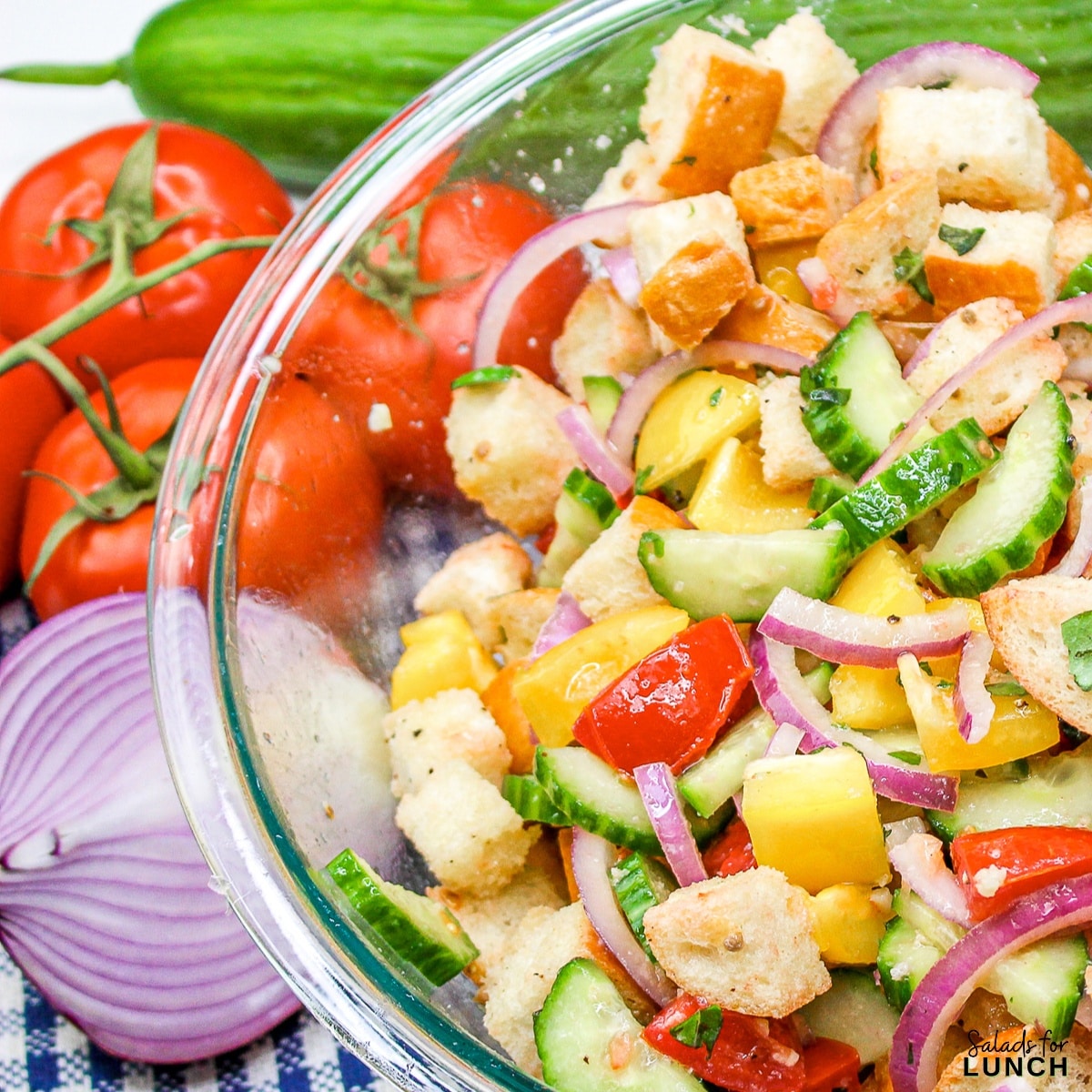 Panzanella Salad Square Featured Photo - This Classic Italian Panzanella Salad (aka Tuscan Bread Salad) is a refreshing summer salad made with juicy tomatoes, crusty bread, and a simple vinaigrette. This is a great salad to bring to a summer BBQ.