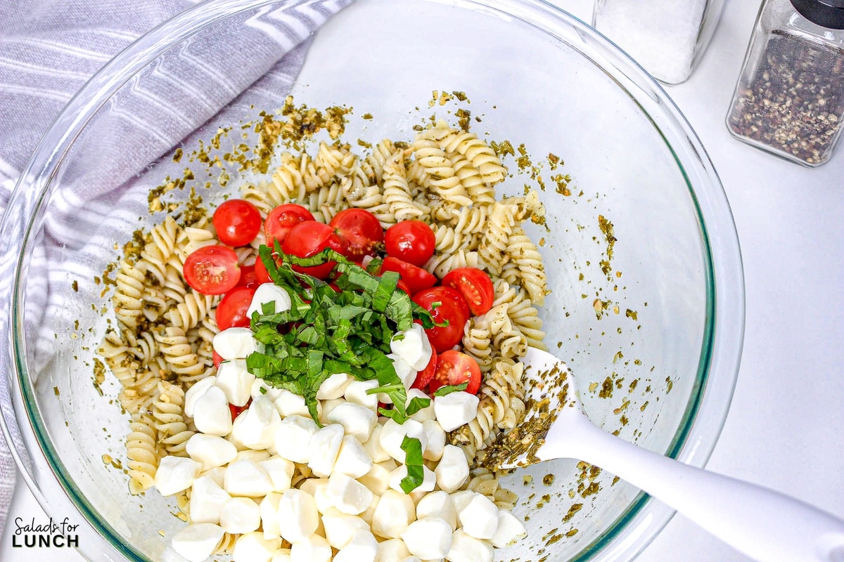 Pesto Caprese Pasta Salad 5 - This pasta salad is loaded with your favorite pasta noodles, fresh tomatoes and mozzarella and tossed in the best tasty pesto! It's such an easy dish and perfect for anytime of the year!