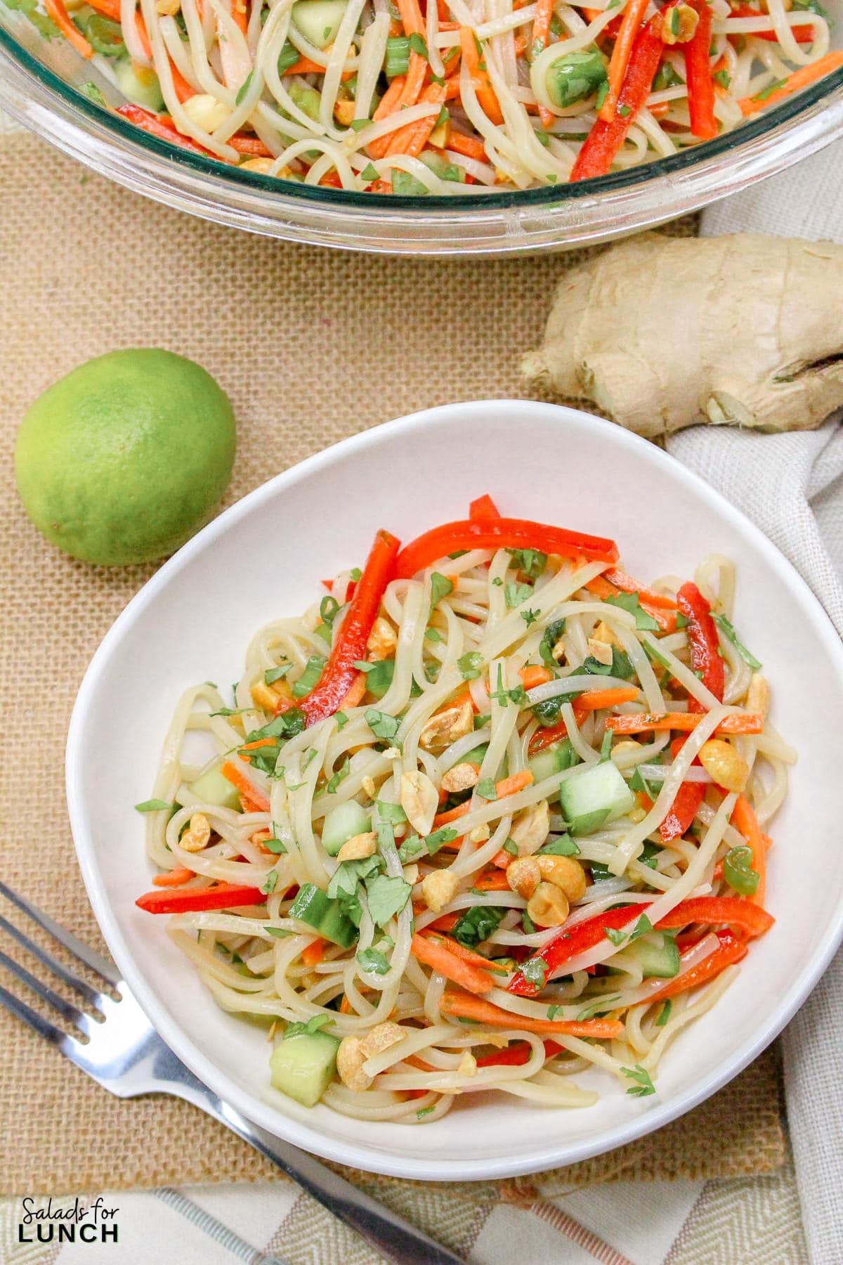 Rice Noodle Salad with Sesame Lime Dressing - Rice Noodle Salad Recipe 14 Rice Noodle Salad Recipe 14 - This refreshing salad features tender rice noodles tossed with crisp vegetables and a tangy sesame-lime dressing. It's perfect as a light main course or a flavorful side dish.