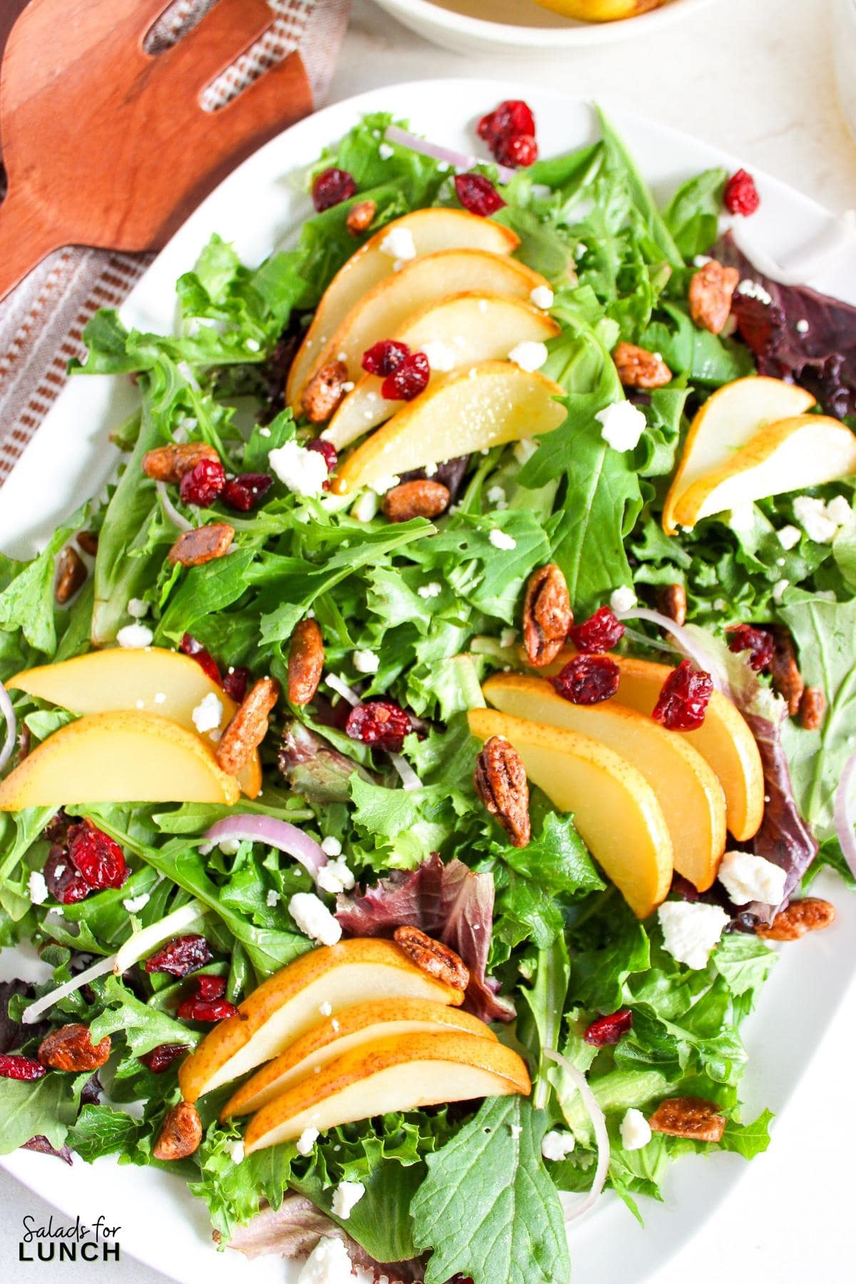 Roasted Pear Salad with Creamy Goat Cheese and Tangy Lemon Vinaigrette - Roasted Pear Salad with Lemon Vinaigrette Recipe 13 Roasted Pear Salad with Lemon Vinaigrette Recipe 13 - This Roasted Pear Salad with Lemon Vinaigrette is a deliciously hearty option for lunch or dinner. It’s quick to make, healthy, and bursting with sweet and savory flavors that’ll leave you craving more! Plus, it’s so versatile—you can dress it up or keep it simple, and it always turns out delicious.