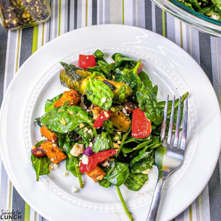 Roasted Vegetable Salad Square Featured Photo - These fall salads will help you make the most of October’s fresh, seasonal produce while adding flavor, nutrition, and variety to your meals. Enjoy the richness of fall in every bite!