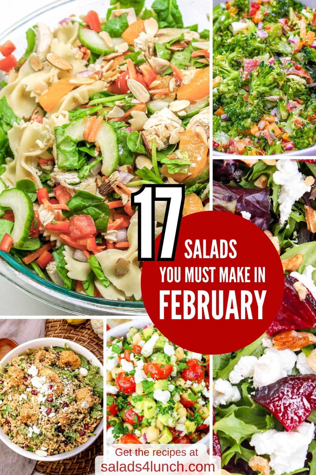 Salads to Make in February 1 - Whether you’re a salad enthusiast or just looking for a fun way to brighten up your winter menu, these 17 winter salads are sure to inspire you. Embrace the flavors of February, get creative in the kitchen, and let these vibrant dishes fuel you with all the nutrients you need to thrive through the winter months!