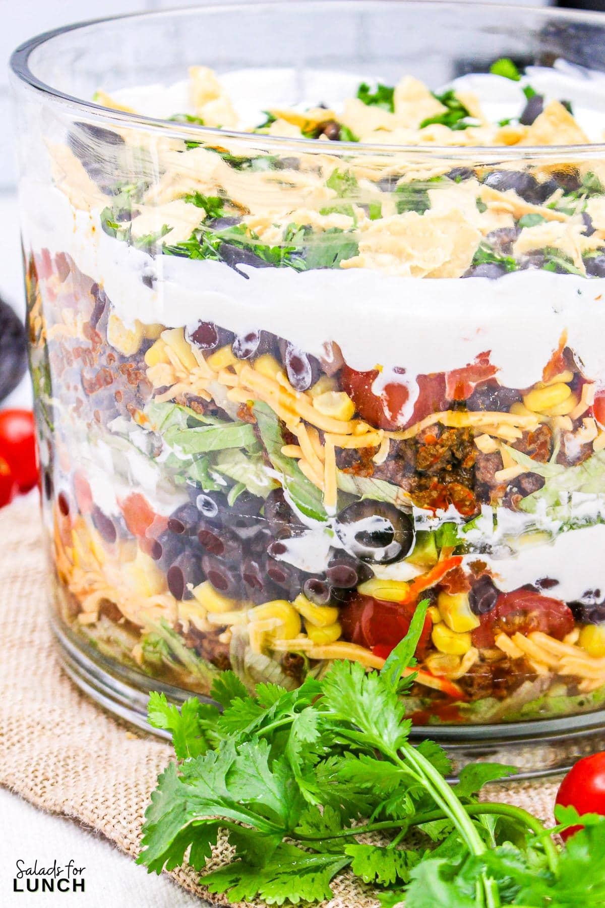 Seven Layer Taco Salad