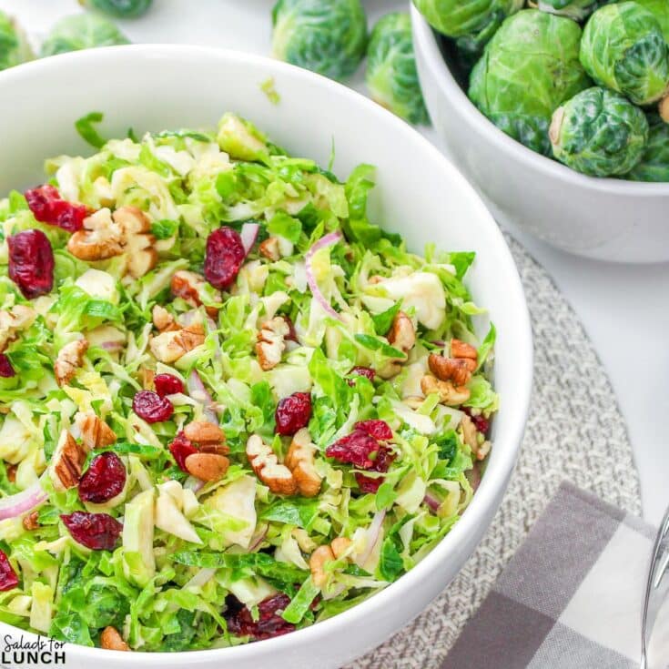 Shredded Brussels Sprouts Salad Square Featured Photo - March brings a lively mix of fresh fruits and vegetables that light up your plate with bold flavors and crisp textures. Celebrate March with these 17 early spring salads that prove healthy eating can be fun, flavorful, and budget-friendly.