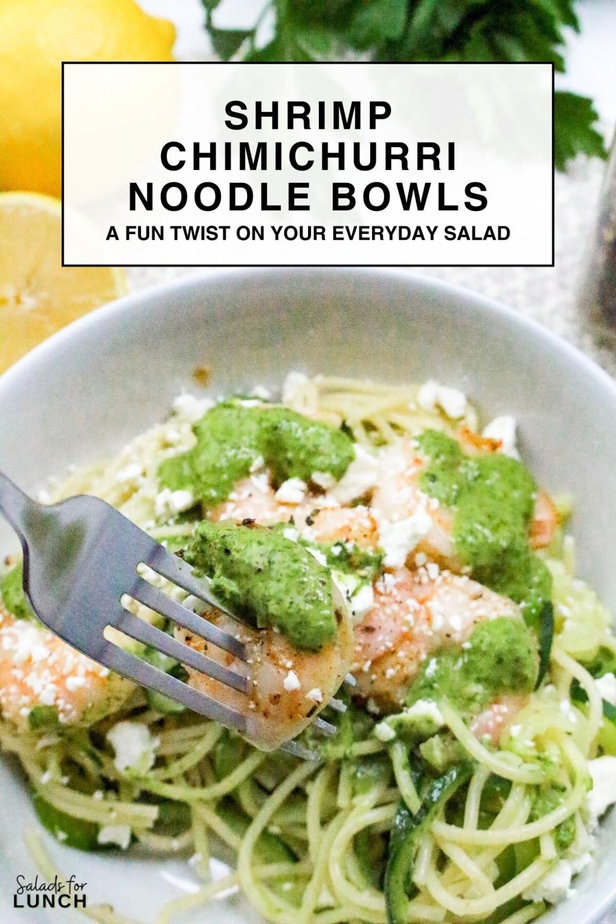 Shrimp Chimichurri Noodle Bowls - Shrimp Chimichurri Noodle Bowls are both tasty and healthy and can be enjoyed for any occasion or meal. Enjoy the bright flavors and simple steps as you add a little fun to your daily dining!