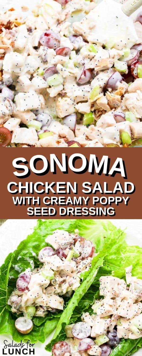 Sonoma chicken salad lettuce wrap on a white plate.