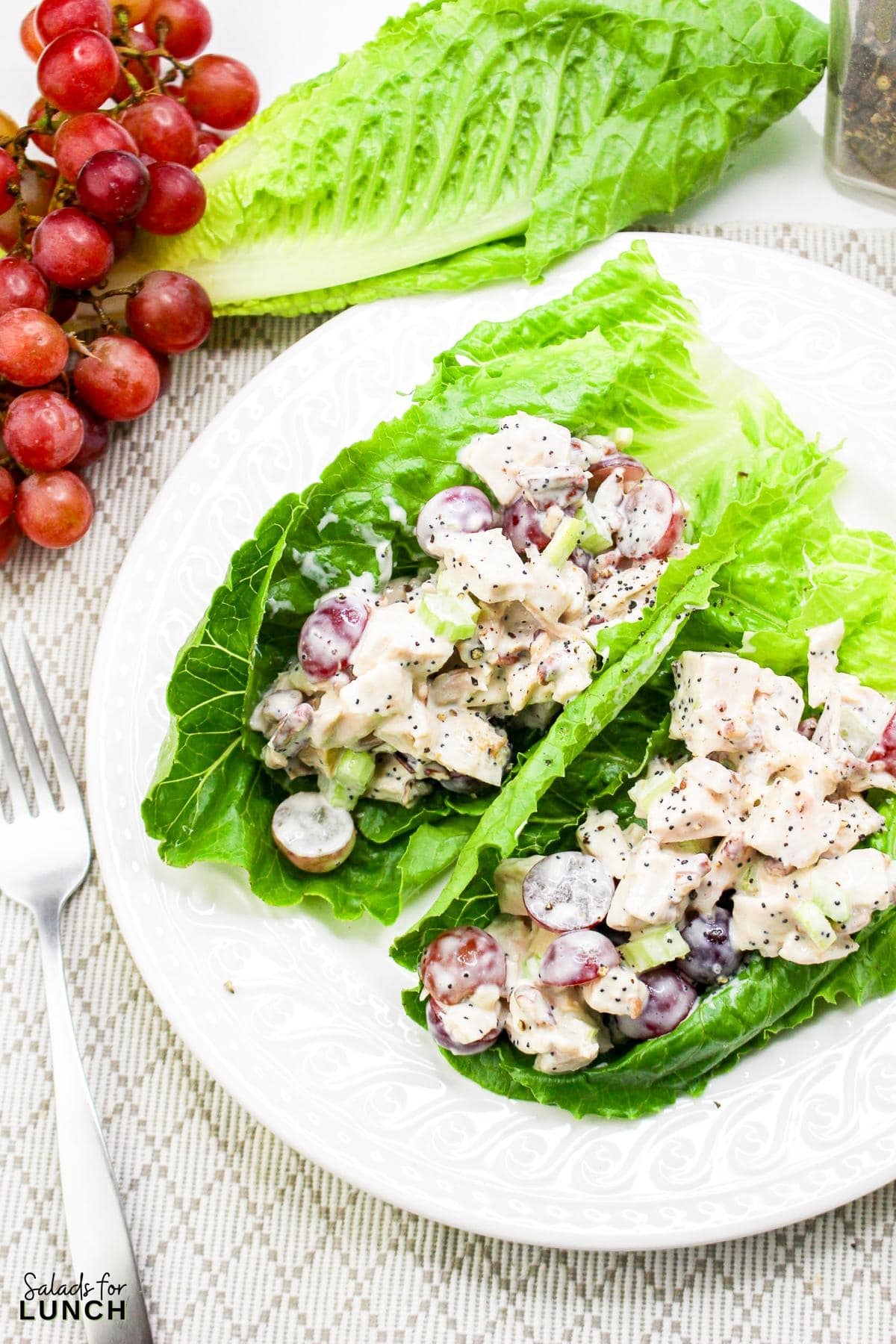 Sonoma Chicken Salad Recipe 17 - This fresh and flavorful chicken salad combines tender chicken, sweet grapes, and crunchy pecans, all tossed in a creamy poppy seed dressing. Perfect for a light lunch or a picnic, it's sure to be a crowd-pleaser.