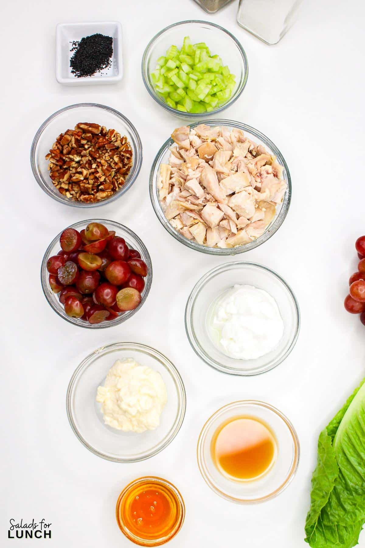 Sonoma Chicken Salad Recipe 2 - This fresh and flavorful chicken salad combines tender chicken, sweet grapes, and crunchy pecans, all tossed in a creamy poppy seed dressing. Perfect for a light lunch or a picnic, it's sure to be a crowd-pleaser.