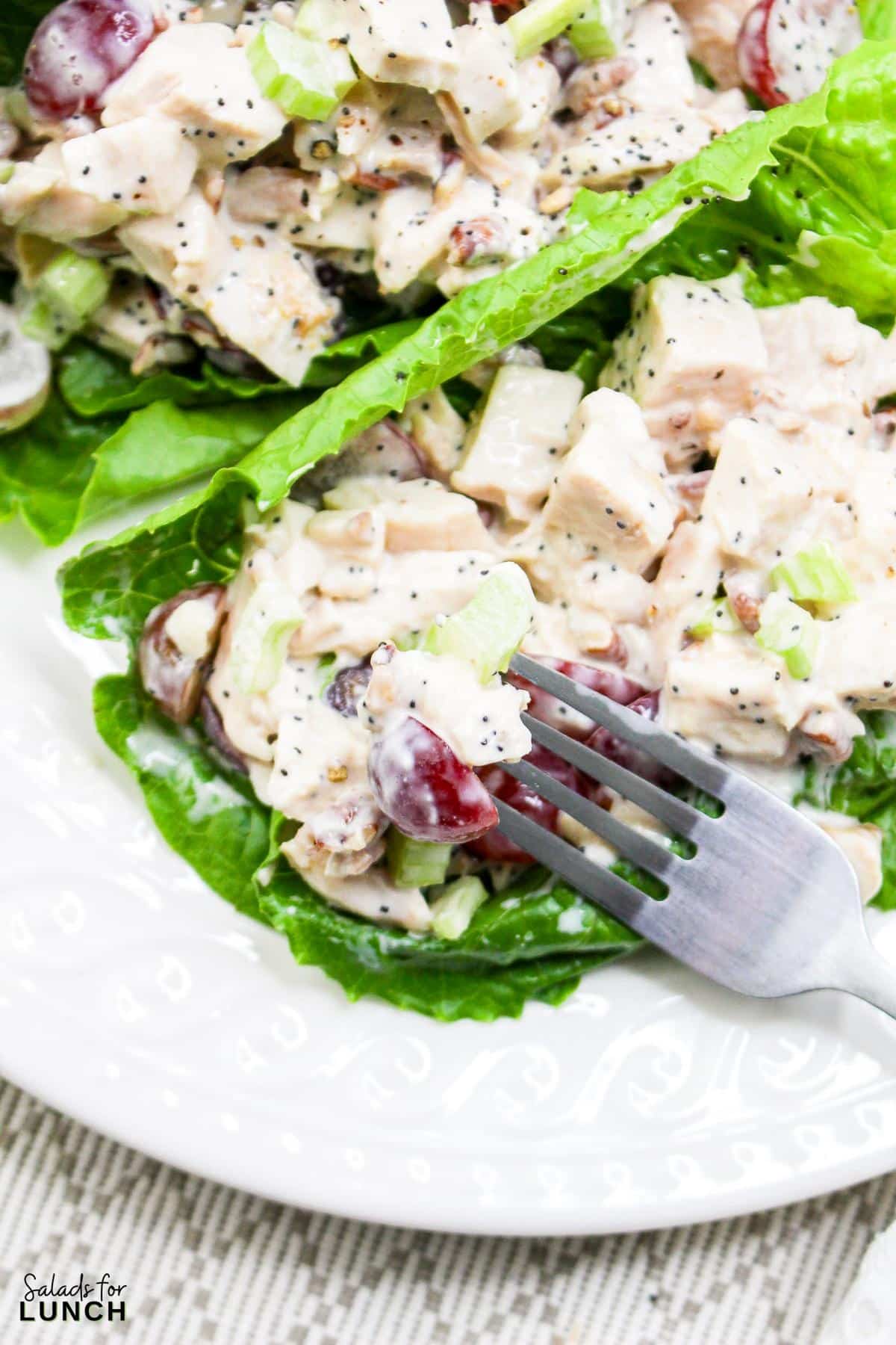 Sonoma Chicken Salad Recipe 20 - This fresh and flavorful chicken salad combines tender chicken, sweet grapes, and crunchy pecans, all tossed in a creamy poppy seed dressing. Perfect for a light lunch or a picnic, it's sure to be a crowd-pleaser.