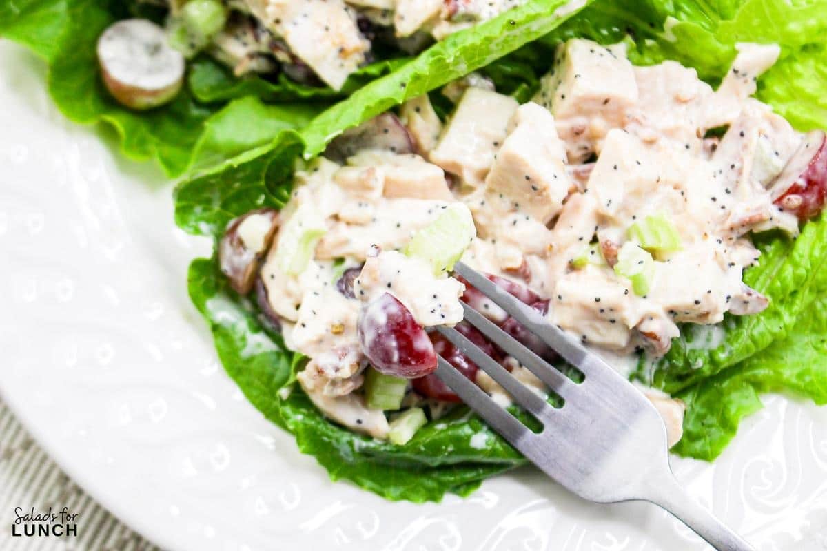 Sonoma Chicken Salad Recipe 21 - This fresh and flavorful chicken salad combines tender chicken, sweet grapes, and crunchy pecans, all tossed in a creamy poppy seed dressing. Perfect for a light lunch or a picnic, it's sure to be a crowd-pleaser.