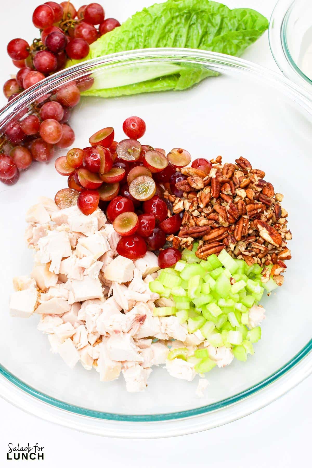 Sonoma Chicken Salad Recipe 7 - This fresh and flavorful chicken salad combines tender chicken, sweet grapes, and crunchy pecans, all tossed in a creamy poppy seed dressing. Perfect for a light lunch or a picnic, it's sure to be a crowd-pleaser.